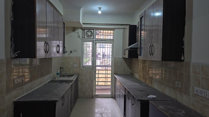 Gardenia Glory Main Image 1