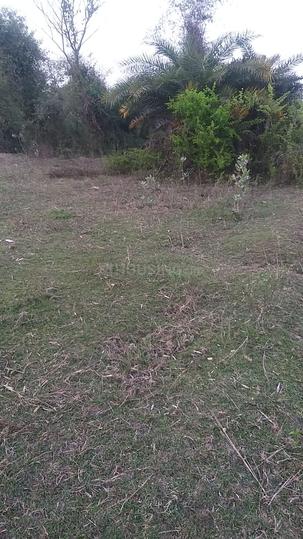 chandipur Main Image 1