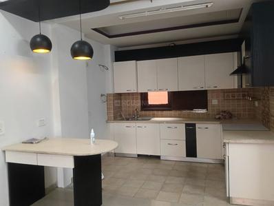 Kitchen Image of 1250 Sq.ft 2 BHK Apartment / Flat for rent in RPS Savana, Sector 88 Faridabad for Rs. 24000