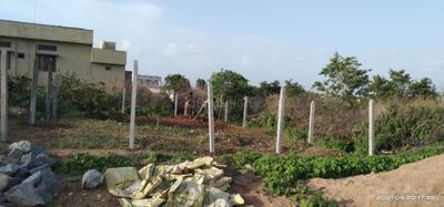 Residential Plot