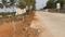 Devanahalli Plots Main Image 1
