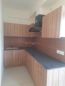 Kitchen Image of 820 Sq.ft 2 BHK Apartment / Flat for rent in AGI Sky Garden, Shakti Nagar Jalandhar for Rs. 15000