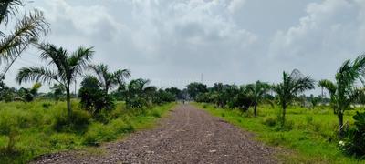 Image of 5000 Sq.ft Residential Plot / Land for sale in Changurabhata, Raipur for Rs. 3255000