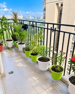 Balcony Image of 1385 Sq.ft 3 BHK Apartment / Flat for rent in ATS Happy Trails, Noida Extension Greater Noida for Rs. 25000