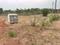 Madhubana Plot View 2