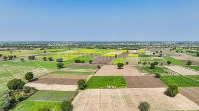 Image of 2178 Sq.ft Residential Plot / Land for sale in Khandual, Sambalpur for Rs. 2750000