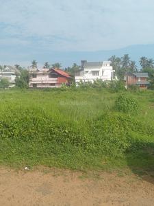 Peramangalam Plot View 3