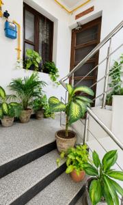 Balcony Image of 1100 Sq.ft 2 BHK Apartment / Flat for sale in DS Sigma 2, Lohgarh Zirakpur for Rs. 4600000