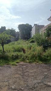 Residential Plot