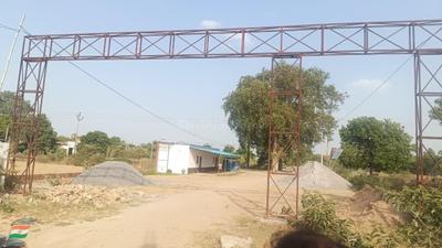 Junab Ganj Plot View 2