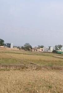 Doiwala Plot View 1