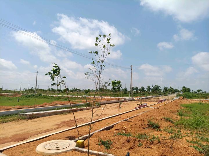 MS Developers Main Image 1