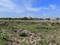 Sector 30 Rohini Plot View 1