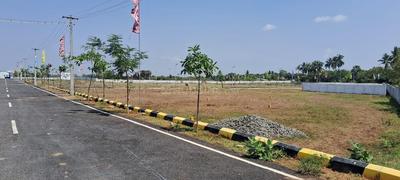Residential Plot