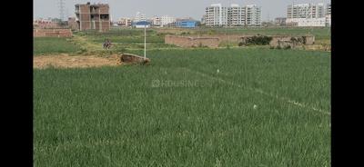 Image of 1225 Sq.ft Residential Plot / Land for sale in Sampatchak, Patna for Rs. 2500015