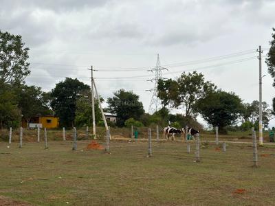 Maratikyatana Halli Plot View 2