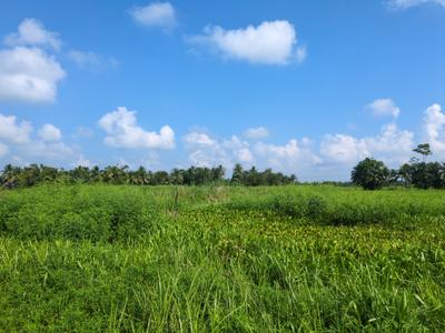 Image of 720 Sq.ft Residential Plot / Land for sale in Nest Valley, Joka, Kolkata for Rs. 195555