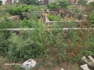 Image of 900 Sq.ft Residential Plot / Land for sale in Sector 115, Mohali for Rs. 4200000