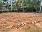 Keralarealty Plot View 2