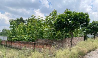 Image of 1400 Sq.ft Residential Plot / Land for sale in Barel, Barabanki for Rs. 3360000