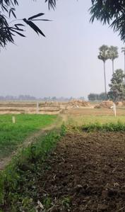 Image of 1200 Sq.ft Residential Plot / Land for sale in Shivala Par, Patna for Rs. 2998800