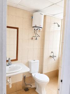 Bathroom Image of 740 Sq.ft 3 BHK Apartment / Flat for sale in ROF Amaltas, Sector 92 Gurgaon for Rs. 7250000