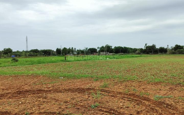 Moje Undrel Daskroi Main Image 1