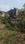 Subhash colony mango Plot View 2