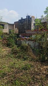 Subhash colony mango Plot View 2