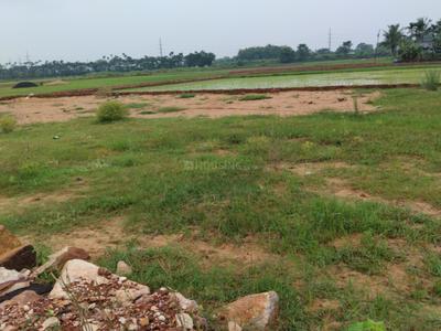 Image of 1500 Sq.ft Residential Plot / Land for sale in Benupur, Bhubaneswar for Rs. 3450000