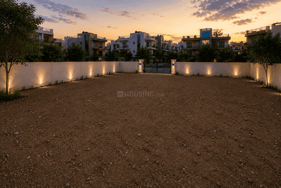 Sector 9 Plot View 2