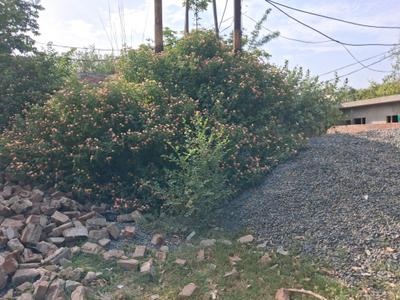 Image of 300 Sq.ft Residential Plot / Land for sale in Sector 93B, Noida for Rs. 90000000