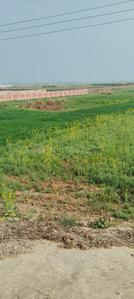 Rksinha Plot View 2