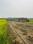 Kanhauli Plot View 2