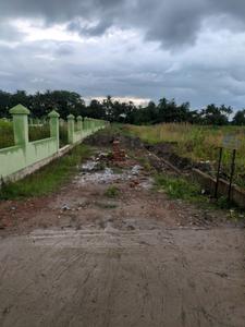 Bhasa Eco Village Internal Roads 2