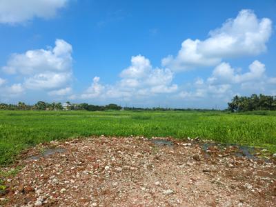 Wander Valley Plot View 1