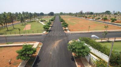 PC Parklane Plot View 3