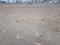 Sandor Plot View 2