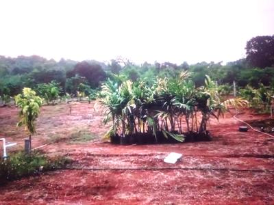 Image of 1089 Sq.ft Residential Plot / Land for sale in Belondakhar, Navi Mumbai for Rs. 328000