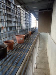 Balcony Image of 1150 Sq.ft 3 BHK Apartment / Flat for sale in Lodha Splendora, Thane West Thane for Rs. 11000000