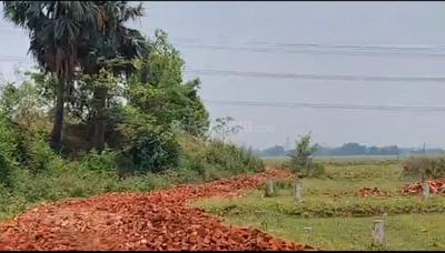 Bihta Plot View 3
