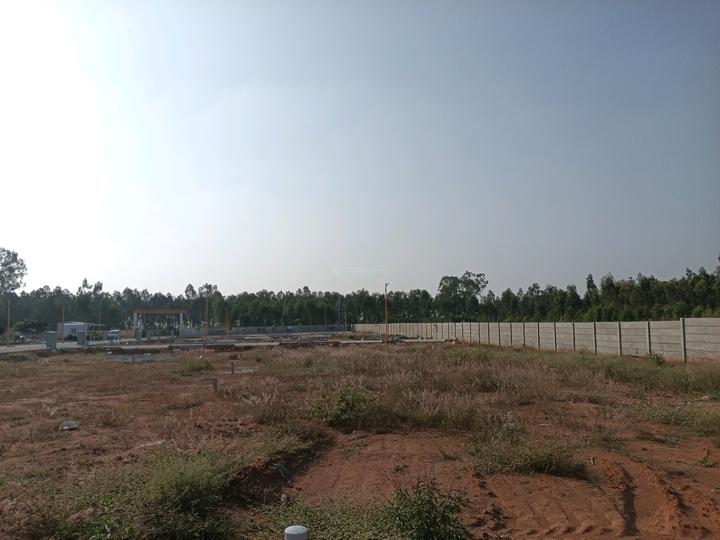 Sreevari Forest Glade Main Image 1