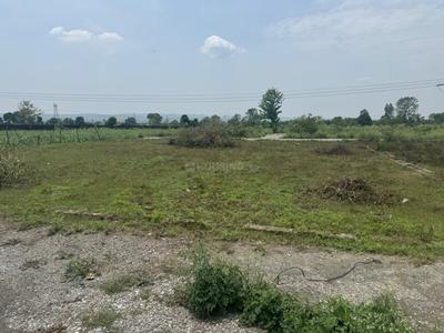 Doiwala Plot View 3