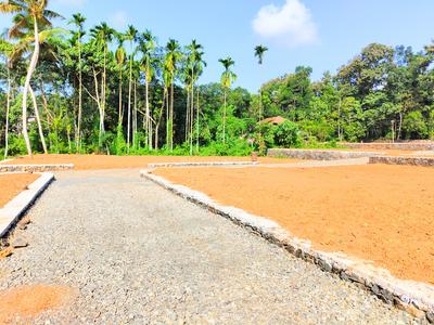 Image of 1742 Sq.ft Residential Plot / Land for sale in Mulanthuruthy, Kochi for Rs. 800000