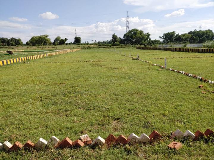 Bihta Main Image 1