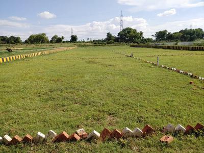 Bihta Plot View 1