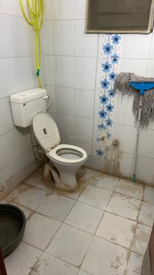 Bathroom Image of 800 Sq.ft 1 BHK Apartment / Flat for rent in Lalaram Nagar Indore for Rs. 8000