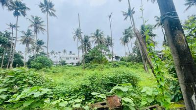 Kunnathery Thikavu Plot View 2