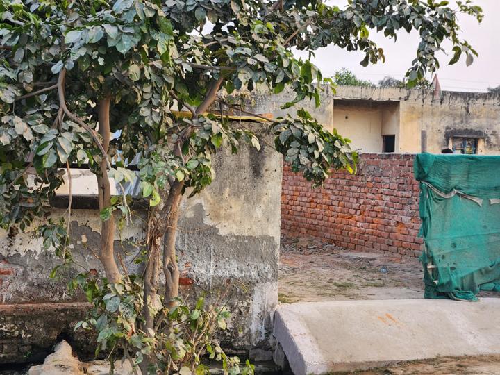 Jacaranda Estate Main Image 1