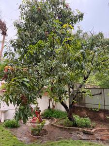 Image of 4600 Sq.ft 5 BHK Villa for rent in Aundh, Pune for Rs. 300000